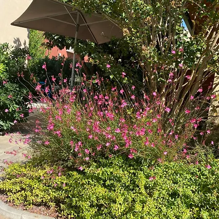 Veronalago Accessibile 4* 부솔렌고