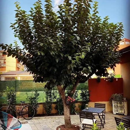 Veronalago Accessibile
