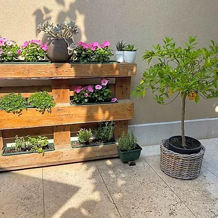 Veronalago Accessibile Couette-café Bussolengo