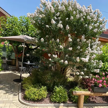 Veronalago Accessibile 4*