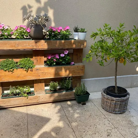 Veronalago Accessibile Panzió Bussolengo